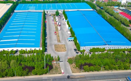 Why choose us as your crown wheel pinion supplier?